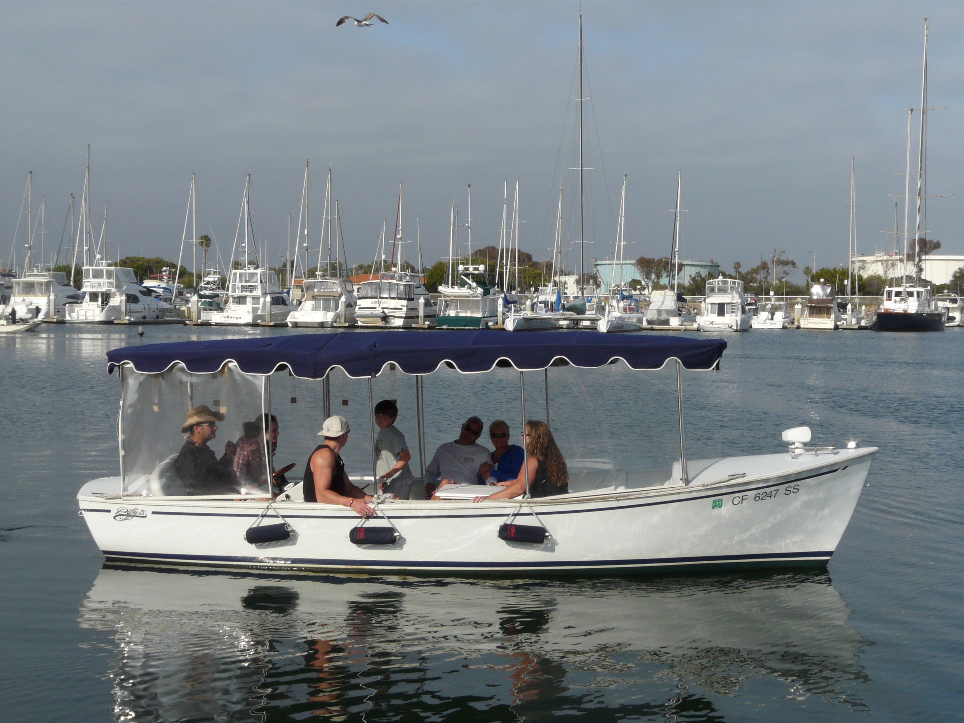 Boat Rentals